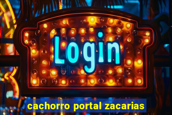 cachorro portal zacarias